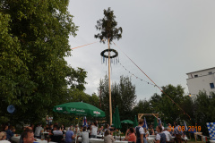 DSC00041